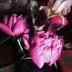 Beth Renshaw - @mablelilly - Instagram