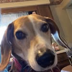 Mary Beth Renshaw - @renshaw3946 - Instagram