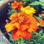 Mary Kate - @beth.resch.7 - Instagram