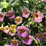 Beth Ressler - @bethressler5 - Instagram