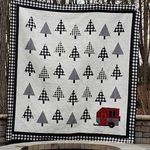 Beth Ressler - @creativeedgequilts - Instagram
