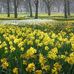 Beth Rexroat - Facebook