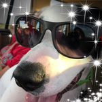 Beth Reynolds - @beth.reynolds.50 - Instagram