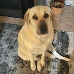 Beth Rhew - @wolfpack93mom - Instagram
