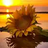 Beth Rich - @beth.rich37 - TikTok