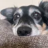 bethriddle3 - @beth.riddle8 - TikTok