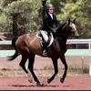 ammyriderbeth - @ammyriderbeth - TikTok