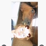 Beth Baker - Show Rider - @show._.rider - Instagram