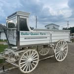 Beth Rider - @belle_queen_farm - Instagram