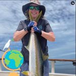 Beth Ringwald Carnes - @bethringwaldcarnes - Instagram