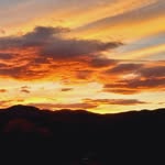 Beth Ringwald - @dbringy - Instagram