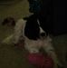 Beth Robb - Facebook