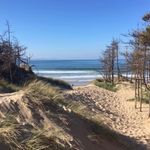 Beth Roche - @beth_rochey - Instagram