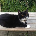 Beth Salmon - @beth.salmon.58 - Instagram