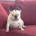 Beth Scanlan - Facebook
