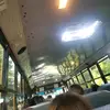 buss videos - @lizzybethscarberry - TikTok