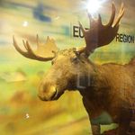 Beth Schaefer - @beth.schaefer.56 - Instagram
