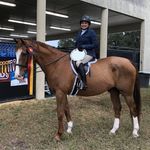 Beth Schaefer - @schaefer58 - Instagram