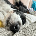Beth Schaeffer - @schaeffer_beth - Instagram