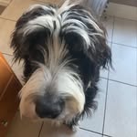 Beth Schaeffer - @sweatybetty33 - Instagram