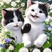 Beth Schafer - Facebook