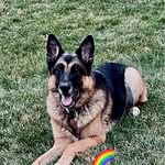 Beth Schafer Zuraw - @schaferzuraw - Instagram