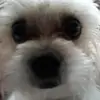 bethschafer956 - @bethschafer956 - TikTok