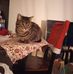 Beth Schatzline - Facebook