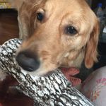 Beth Scherr - @b.scherr - Instagram