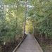 Beth Scherr - Facebook