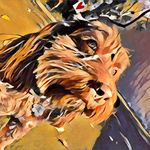 Beth Schiffman - @bethschiffman - Instagram