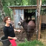 Beth Schiller - @beth.schiller - Instagram