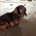 Alibeth Schipper - @alibethschipper - Instagram