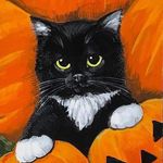Beth Schipper - @chihuahualoverx3 - Instagram