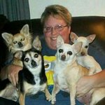 Beth Schipper - @bethschipper - Instagram