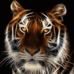 Beth Schnur - Facebook