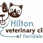 Betsy Schnur - @hiltonferndale - Instagram