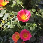 Beth Schoenhofer - @bethschoenhofer - Instagram