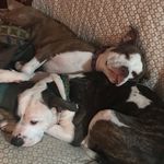 Beth Schoonover - @diddygk3 - Instagram