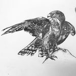 Beth Schuck - @fizzy_schuck_art - Instagram