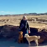 Beth Schueller - @bethschueller - Instagram