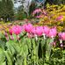 Beth Schulze - Facebook