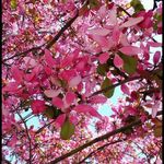 Beth Schuman - @bethschuman - Instagram