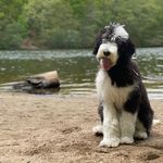 Beth Schuman Rosenman - @brosenman - Instagram
