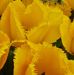 Beth Schulke - Facebook