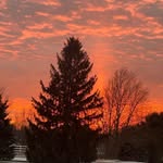 Beth Schwager - @schwagerd - Instagram