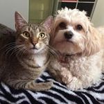 Beth Schwieman - @bethschwieman - Instagram