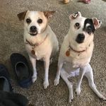 Beth Scribner - @baconswifeforlife - Instagram