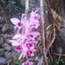 Beth Sullin - Facebook