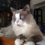 Beth Seals - @bseals322 - Instagram